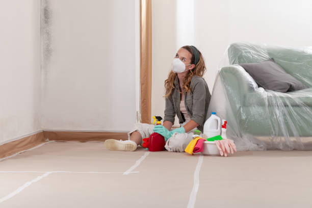 Reliable Basement Mold Remediation contractor in Marco Island, FL by WQB Mold Removal